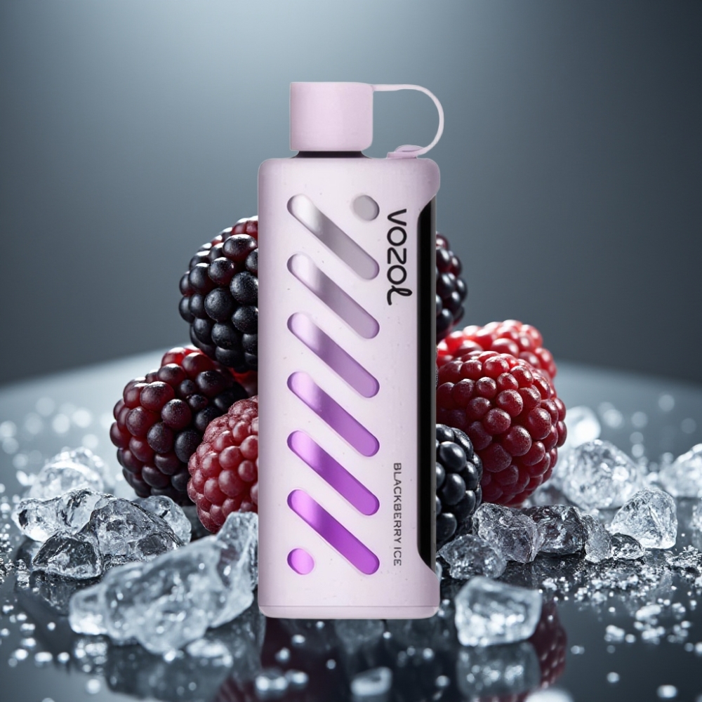 VOZOL Gear Shisha 25000 Puffs Blackbär Ice 1000mAh 5mg/ml Dual Mesh