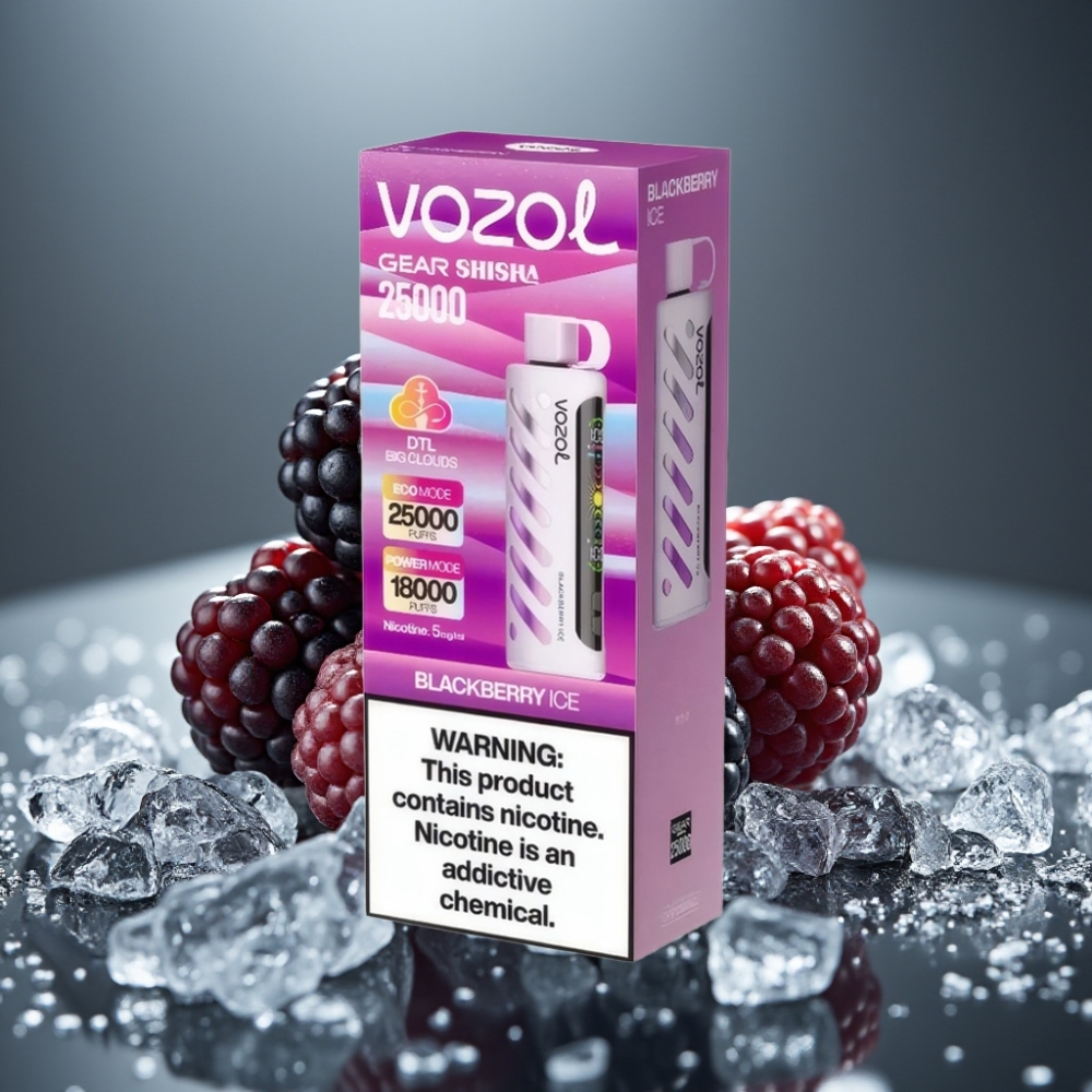 VOZOL Gear Shisha 25000 Puffs Blackbär Ice 1000mAh 5mg/ml Dual Mesh
