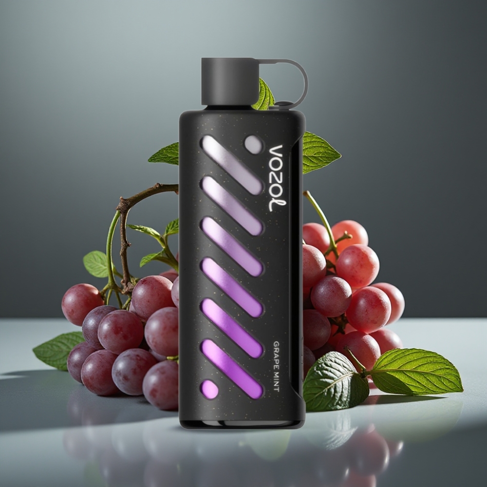 VOZOL Gear Shisha 25000 Puffs Druva Mint, 5mg/ml, 1000mAh, S.i.L.C Tech
