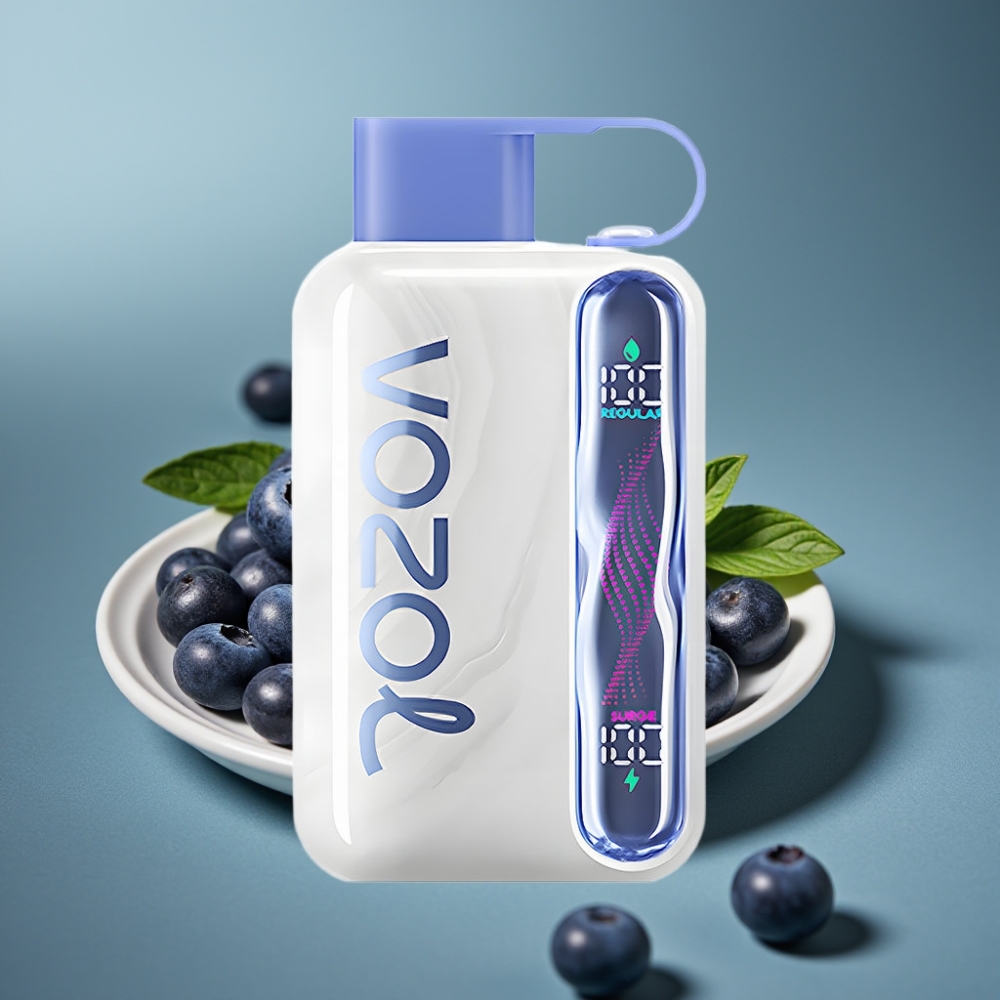 VOZOL STAR 40000 Engångs Vape Blåbärsminta 1000mAh Type-C