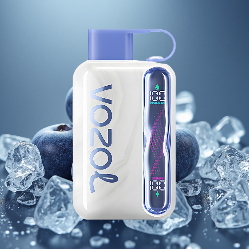 VOZOL STAR 40000 Engångs-vape Blåbärs-is 1000mAh Type-C vape supplier Sweden