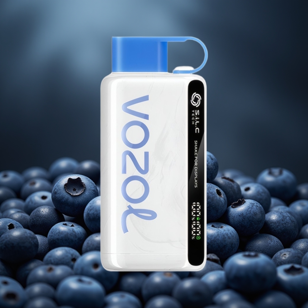 VOZOL STAR 9000/12000 Engångsvape Blåbärsstorm, 650mAh, 9000/12000 puffar, 0/20/50mg/ml