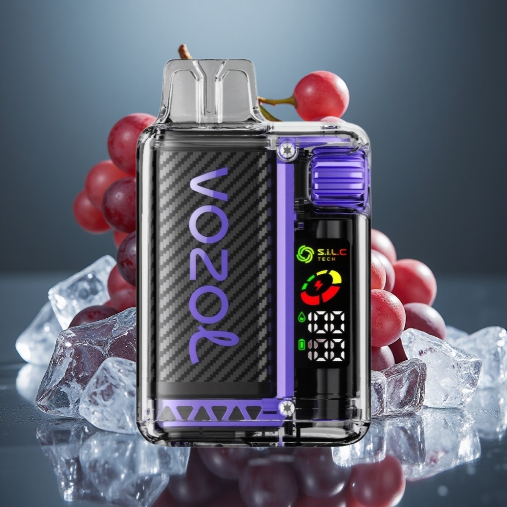 VOZOL Vista 20000 Puffs Vinis Glass Ladda 650mAh 2% Nikotin OLED Skärm Dual Mesh Coil MCU Chip
